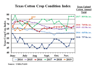 2019 20 Fundamentals Outlook And Caveats The Cotton Marketing - 